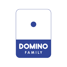 DOMINO SERVICES